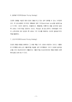 글로벌 마케팅 가격전략 방안과 사례-5
