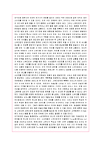 [마케팅] 프랜차이즈 스무디킹의 마케팅 전략 분석-14