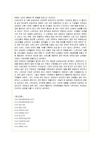 [경영전략] 프랜차이즈 스무디킹의 기업전략 성공사례-11
