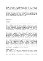 [마케팅] 스웨덴 다국적기업 이케아의 한국 진출 마케팅 방안-4