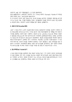 르네상스 전성기의 도시미형성-3