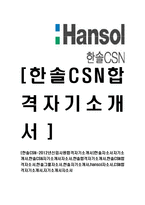 [한솔CSN-신입사원합격자기소개서]한솔자소서자기소개서,한솔CSN자기소개서자소서,한솔합격자기소개서,한솔CSN합격자소서,한솔그룹자소서,한솔자기소개서,hansol자소서,CSN합격자기소개서,자기소개서자소서-1