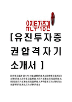 [유진투자증권-공채합격자기소개서]유진투자증권자기소개서자소서,유진투자증권자소서자기소개서,유진증권자소서,유진증권자기소개서,유진증권자소서,투자증권자기소개서,자소서,합격자기소개서,자기소개서자소서-1