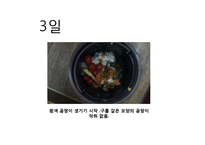 퇴비화(Compost)로 살리는 환경-10