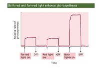 Exp. II. Hill Reaction-7