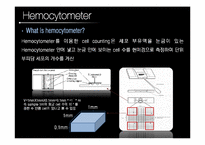 [세포실험] Cell culture-15