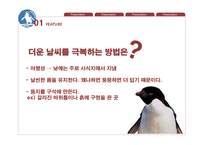 페어리펭귄 생존전략-8
