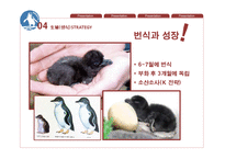 페어리펭귄 생존전략-18