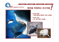 페어리펭귄 생존전략-19