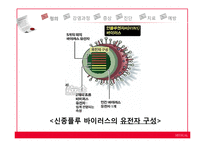 신종플루 레포트-6