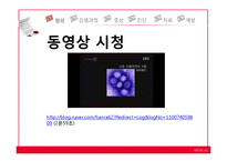 신종플루 레포트-7