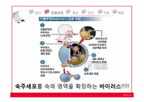 신종플루 레포트-10