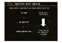 시뮬라크르의 세계와 초미학-10