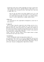 USP전략 광고분석-13