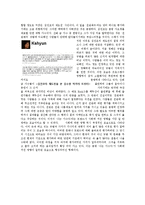 커뮤니케이션 이론으로서의 `나는 가수다`-13