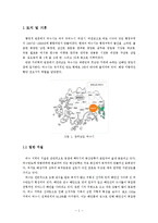 항만도시 여수의 변화-3