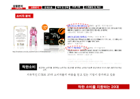 [pr론] Crocs 크록스 광고홍보 계획안-14