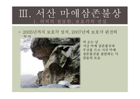 [한국문화유산] 서산 마애삼존불상-20