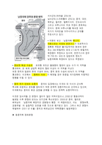 동북아 3국 에너지 확보 경쟁-3