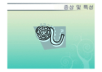 [특수학습자] ADHD(주의력결핍 과잉행동장애) & 영재-6