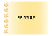 제의례의 참뜻과 이해-5
