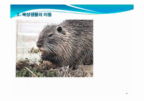 기후변화에 따른 육상생태계-11