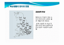기후변화에 따른 육상생태계-15