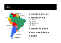 라틴아메리카의 축제-2