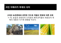 라틴아메리카의 축제-5