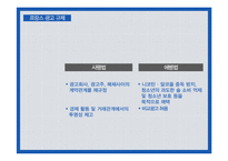[프랑스문화] 프랑스의 광고-18