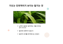 그리스도인의 기도-7