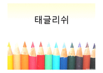 유,아동기 교육프로그램 `태글리쉬`-1