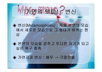 영화 다크나이트 속 악당 조커의 정체성과 가면-6