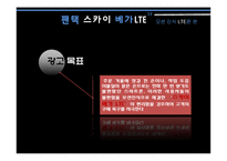 USP전략 광고분석-18