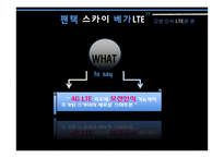 USP전략 광고분석-20