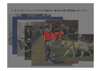 장애인의 성 레포트-9