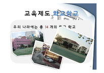 화교제도의 법률적 개선 방안-12