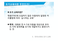 [교육심리] 우리나라의 조기교육-4