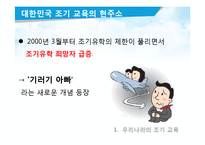 [교육심리] 우리나라의 조기교육-8