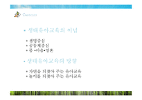 생태유아교육 레포트-11