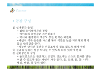 생태유아교육 레포트-19