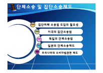 집단소송 및 단체소송제도-2
