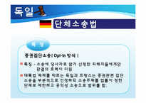 집단소송 및 단체소송제도-17