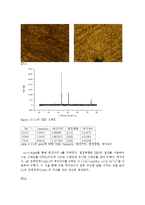 [신소재공정실험] 조성에 따른 Cu와 Cu-Sn의 특성 변화-10