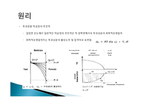 분리정제 레포트-7