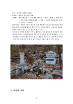 [관광답사 기획안] 전라북도 진안군 답사기획안-9