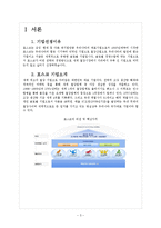 [국제경영] 포스코의 글로벌 경영 -유럽시장 진출전략-3