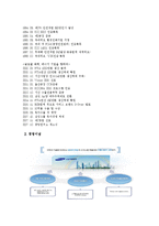 [인적자원관리 기업분석] 삼성석유화학의 연봉제분석-10