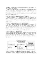 [인적자원관리 기업분석] 삼성석유화학의 연봉제분석-19