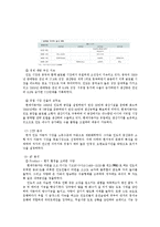 [국제마케팅] 현대자동차 인도시장 진입 전략-12
